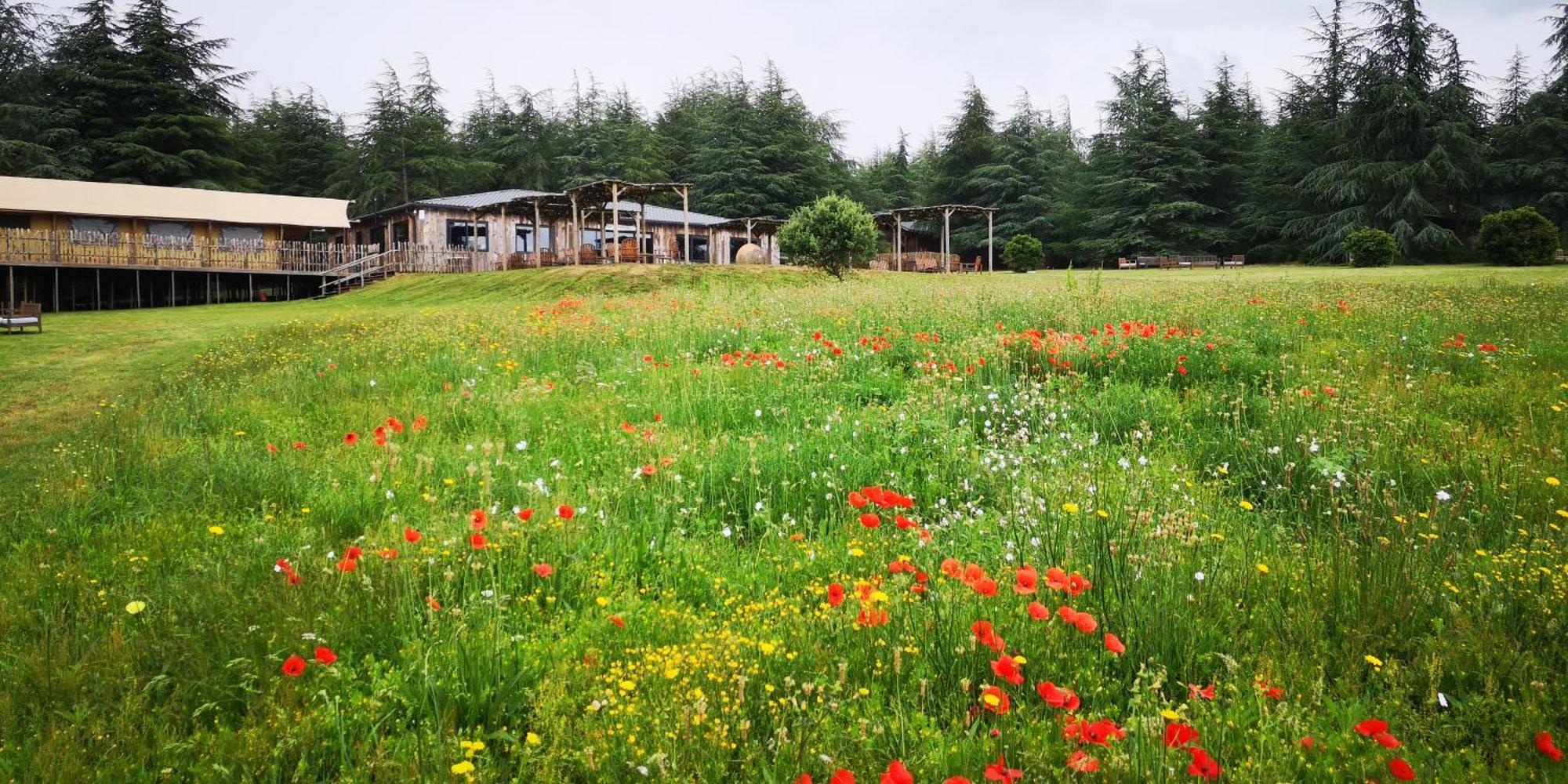 Domaine De La Vitarelle Glamping Villaniere Dış mekan fotoğraf