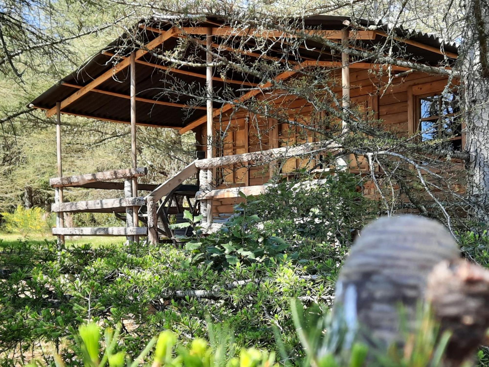 Domaine De La Vitarelle Glamping Villaniere Dış mekan fotoğraf