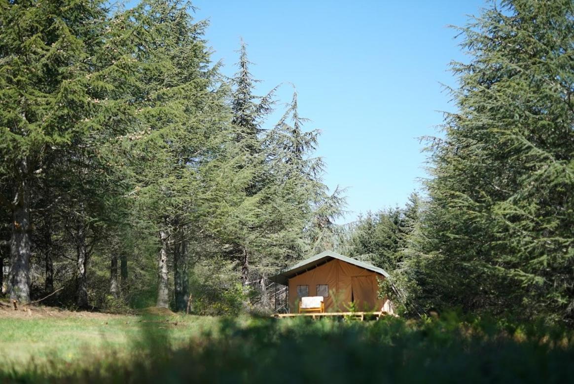 Domaine De La Vitarelle Glamping Villaniere Dış mekan fotoğraf