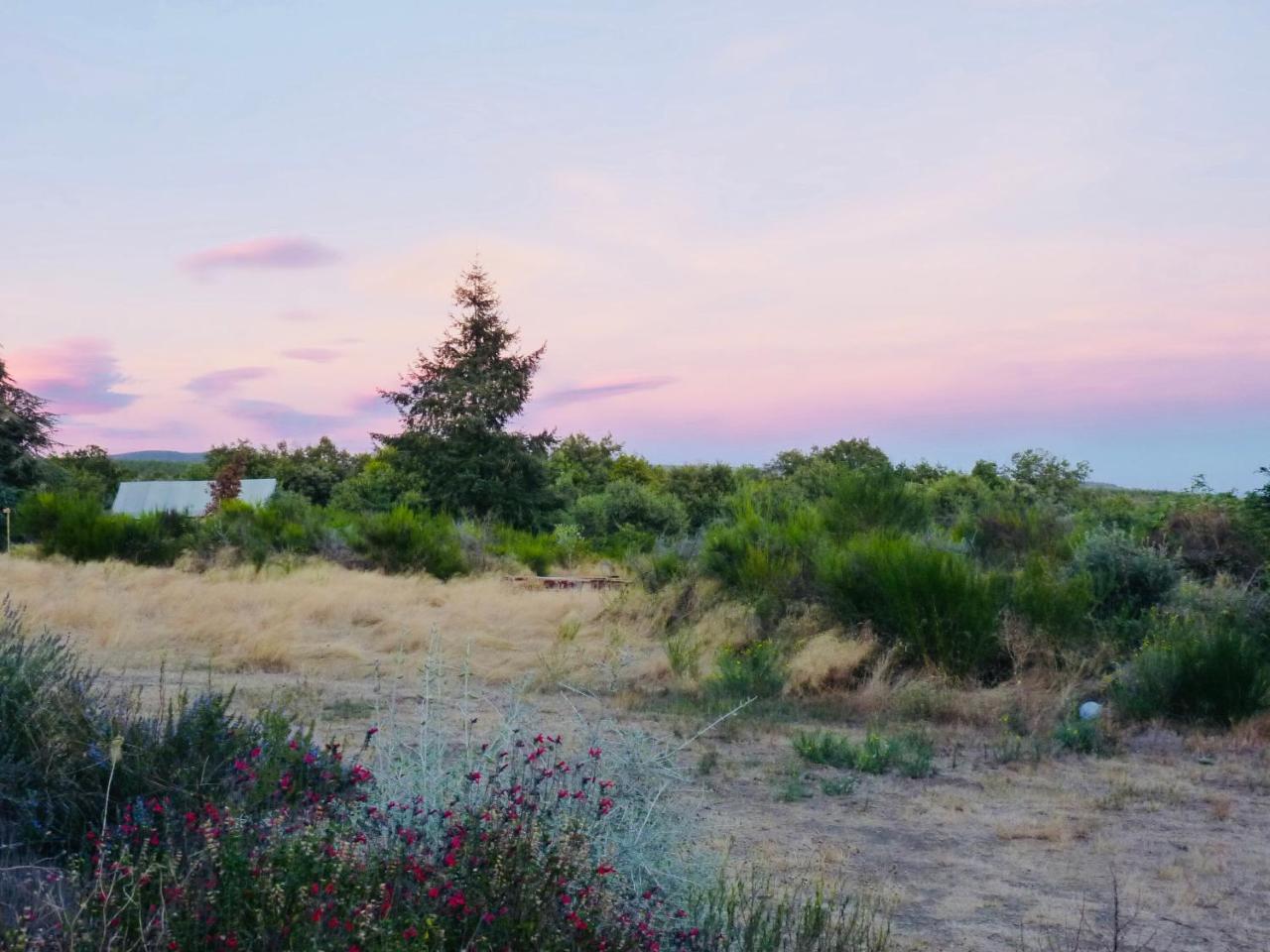 Domaine De La Vitarelle Glamping Villaniere Dış mekan fotoğraf